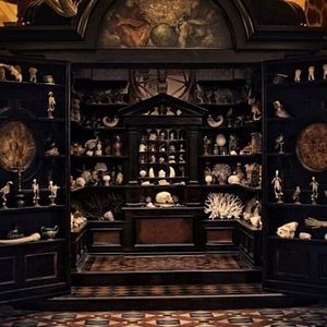 Photo Le Musée des merveilles