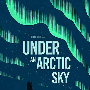 Photo Under an Arctic Sky