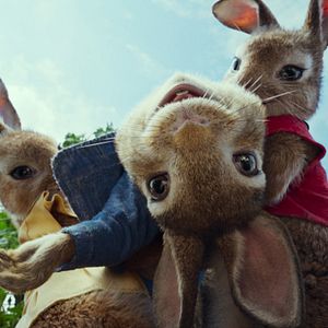 Photo Pierre Lapin