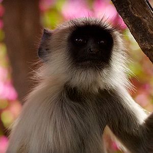 Photo Un nouveau jour sur Terre