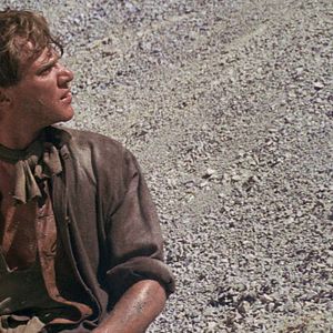 Photo Robert Shaw
