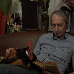Photo La Fable du coq