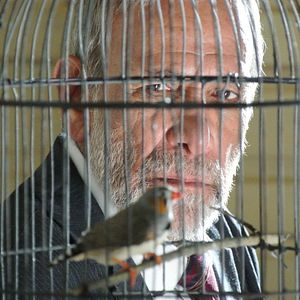 Photo Hossein Mahjub