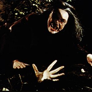Photo Les Maîtresses de Dracula