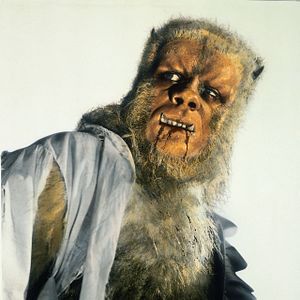 Photo La Nuit du loup-garou