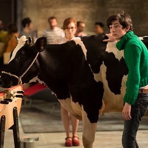 Photo Théo Fernandez