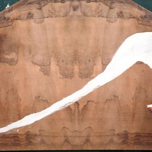 Photo Julian Schnabel