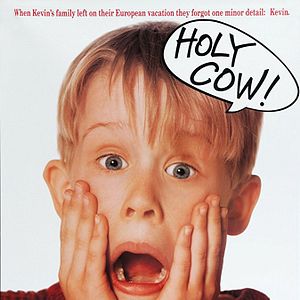 Photo Maman, j'ai raté l'avion