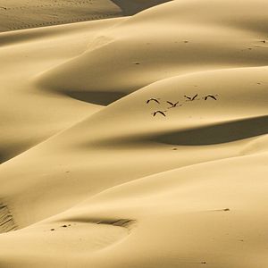 Photo Un nouveau jour sur Terre