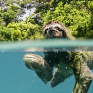 Photo Un nouveau jour sur Terre