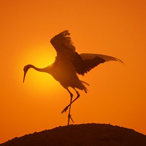 Photo Un nouveau jour sur Terre