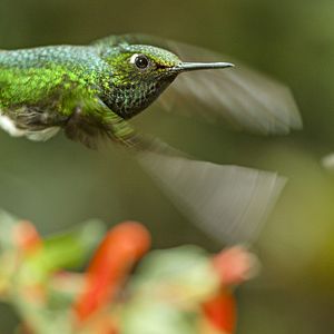 Photo Un nouveau jour sur Terre