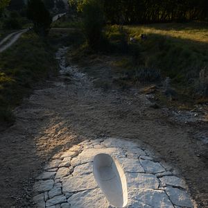 Photo Penché dans le vent