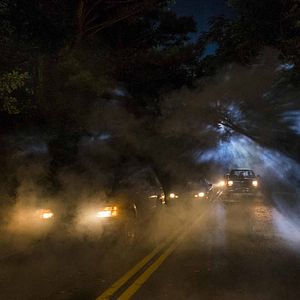 Photo The Walking Dead