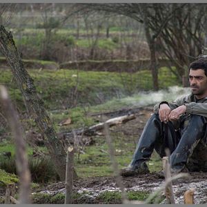 Photo Reza Akhlaghirad