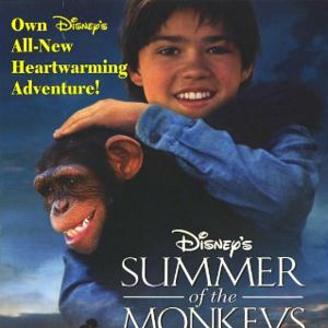 Photo Malin comme un singe
