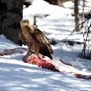 Photo Kelsey Asbille