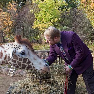 Photo Raf, ma Girafe