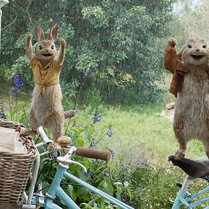 Photo Pierre Lapin