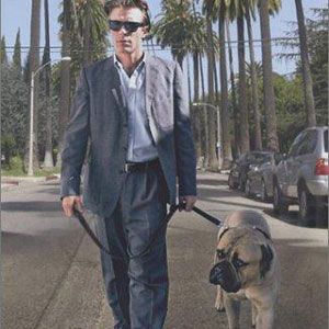 Photo The Dogwalker