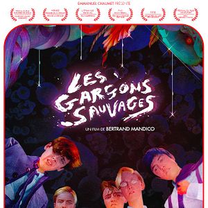 Photo Les Garçons sauvages