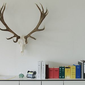 Photo Et l'homme créa la chasse