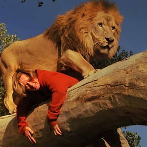 Photo Roar