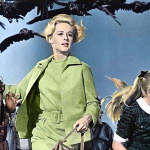 Photo Tippi Hedren