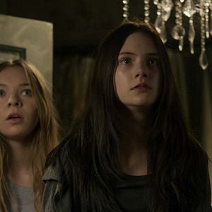 Photo Taylor Hickson