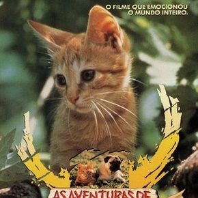 Photo Les Aventures de Chatran