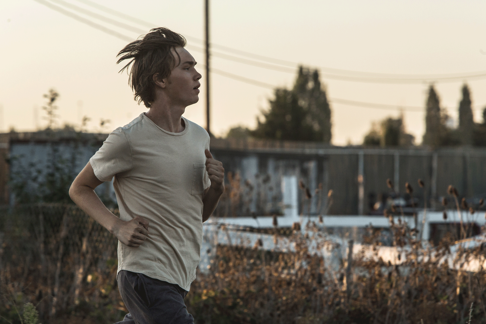 Photo La Route sauvage (Lean on Pete)