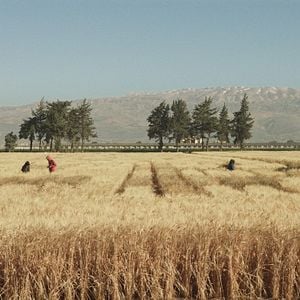 Photo Wild Relatives