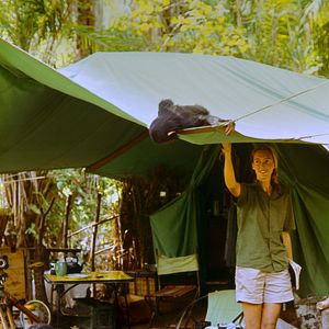 Photo Jane Goodall