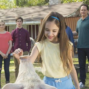 Photo Daniel DiMaggio