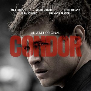 Photo Condor
