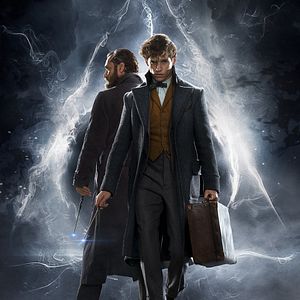 Photo Les Animaux fantastiques : Les crimes de Grindelwald