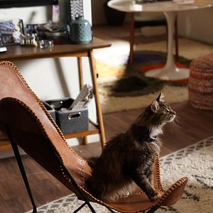 Photo Alone Together