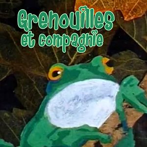 Photo Grenouilles et Compagnie