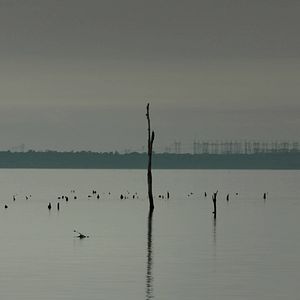 Photo Passerelles