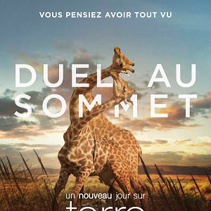 Photo Un nouveau jour sur Terre