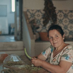 Photo Terra Franca