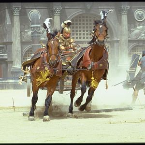 Photo Gladiator