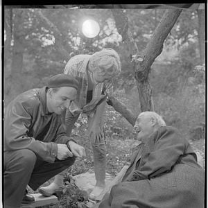 Photo Bergman, une année dans une vie