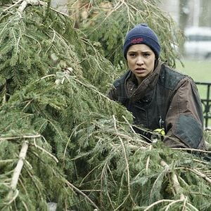 Photo Miranda Rae Mayo