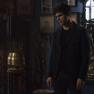 Photo Matthew Daddario