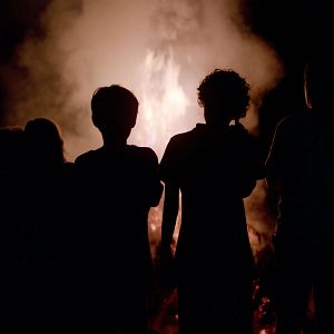 Photo Reine d'un été