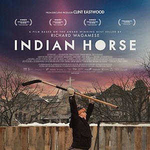 Photo Indian Horse