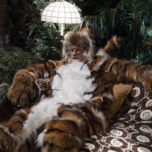 Photo Adam Rothenberg