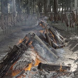 Photo Todo sobre el asado