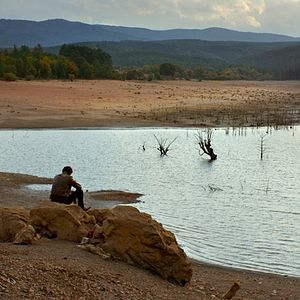 Photo Le Poirier sauvage